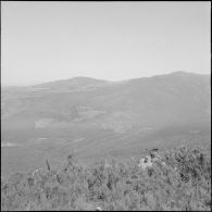 Le 1er REP en opération. [Description en cours]