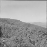 Le 1er REP en opération. [Description en cours]