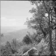 Vie en poste et opération de maintien de l'ordre. [Description en cours]