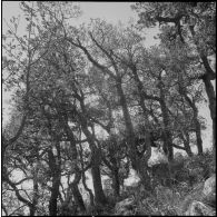 Vie en poste et opération de maintien de l'ordre. [Description en cours]