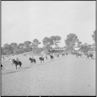 Le centre d'instruction de l'arme blindée et cavalerie (CIABC) du camp du Lido. [Description en cours]