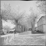 Alentours du camp d’Erlon. [Description en cours]