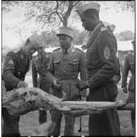 Fêtes de l'Aïd El-Seghir au CIABC (Centre d'instruction de l'arme blindée-cavalerie). [Description en cours]