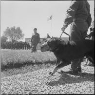 Visite du colonel Giraud au 4e RH (4e régiment de hussards. [Description en cours]