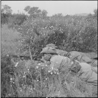 Harka du 2/16e RIC en opération. [Description en cours]