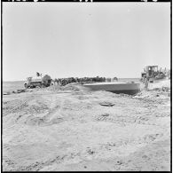 Colomb-Béchar. Des dromadaires se désaltèrent à côté d'un camion-citerne.