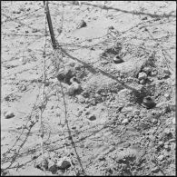 Activités du 1er bataillon du 19e régiment du génie (RG) de Colomb-Béchar. Des mines.