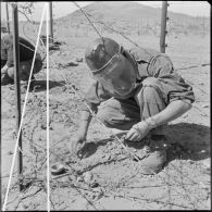 Activités du 1er bataillon du 19e régiment du génie (RG) de Colomb-Béchar. Pose des mines.