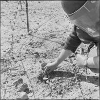 Activités du 1er bataillon du 19e régiment du génie (RG) de Colomb-Béchar. Pose des mines.