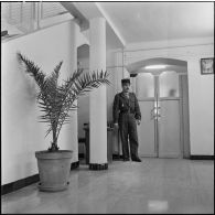 Alger. Etat-Major Interarmées (EMI). Un agent.