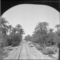 Transport ferroviaire de pétrole sur la ligne Philippeville-Touggourt. [Description en cours]
