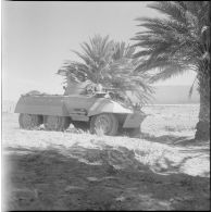 Opération dans le désert. [Description en cours]