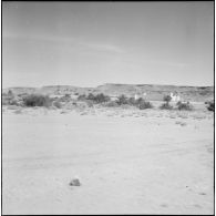 Opération dans le désert. [Description en cours]