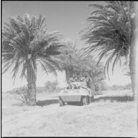 Opération dans le désert. [Description en cours]