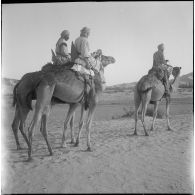 La 1re compagnie saharienne d'infanterie (CSI) de Béni-Abbès. [Description en cours]