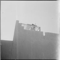 Activités quotidiennes dans le désert. [Description en cours]