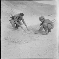 Activités quotidiennes dans le désert. [Description en cours]