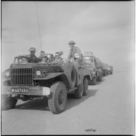 Activités quotidiennes dans le désert. [Description en cours]