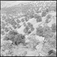 27e bataillon de chasseurs alpins (27e BCA). Des chasseurs en surveillance à Iffigha.