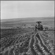 Trezel. Travaux de semailles.