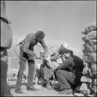 Lagouat. La vaccination par un vétérinaire militaire.
