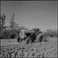 Lagouat. Un tracteur de la Société agricole de prévoyance (SAP) en plein travail.