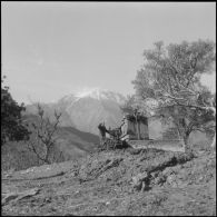 Secteur de Kerrata. 69e compagnie de génie (69e CG). Bulldozer en activité sur la piste.