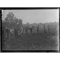 Cerny. Malgaches au travail dans les jardins potagers. [légende d'origine]