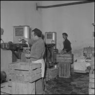 Relizane. Confiturerie Escla. Machine servant à couper l'orange en quatre et à séparer la peau de la pulpe.