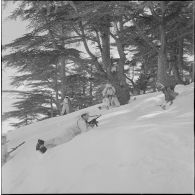 Tikjda. 22e bataillon de chasseurs alpins (BCA). Ecole du combattant.