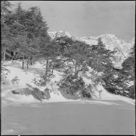 Tikjda. 22e bataillon de chasseurs alpins (BCA). Ecole du combattant.