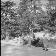 Tikjda. 22e bataillon de chasseurs alpins (BCA). Elèves sous-officier en patrouille à ski en lisière de forêt.