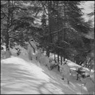 Tikjda. 22e bataillon de chasseurs alpins (BCA). Elèves sous-officier en patrouille à ski.