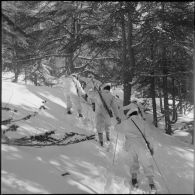 Tikjda. 22e bataillon de chasseurs alpins (BCA). Elèves sous-officier en patrouille à ski en lisière de forêt.