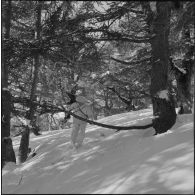 Tikjda. 22e bataillon de chasseurs alpins (BCA). Elèves sous-officier en patrouille à ski.