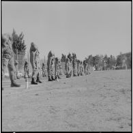Cherchell. Formation des élèves officiers de réserve (EOR). Assouplissement matinal.