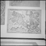 Timgad. Musée. Une mosaïque représentant Neptune.