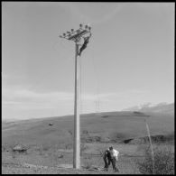 Région d'Alger. Placement des fils sur les poteaux.
