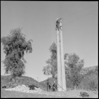 Région d'Alger. Placement des fils sur les poteaux.