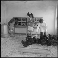 El Biar. Institut ménager agricole. Les élèves dans les différents cours.