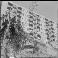 Alger. Nouveaux bâtiments de la cité Diar-es-Schems.