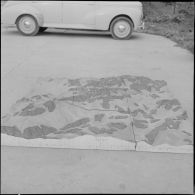 Algérie. Section opérationnelle technique aéroportée (SOTAP). Opération "Mangouste 13 Violette". Maquettes terminées.