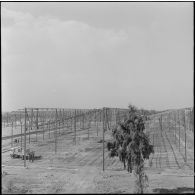 Maison Carrée. Etablissement régional du matériel (ERM). Ensemble des constructions.