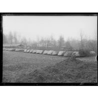 Les troupes franco-britanniques dans le secteur du canal de la Somme, enhiver 1916-1917.