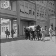 Messe à la mémoire du chasseur-alpin Ricol.