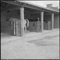 Vue d'ensemble de l'écurie.