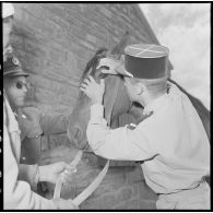 Le vétérinaire réalise un examen de l'œil du cheval.