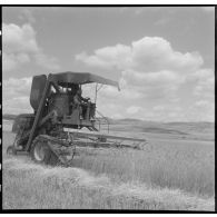 Un ouvrier, travaillant avec la moissonneuse-batteuse.