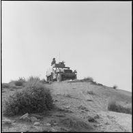 Half-track de protection.