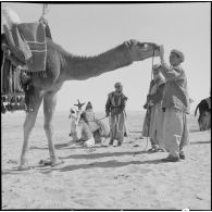 El Oued. Poésie du désert.